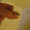 IMG_1248 IMG_1248