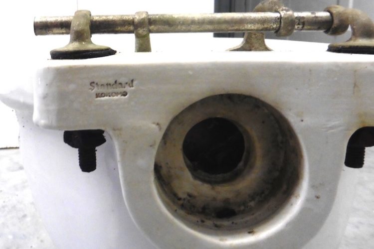 toilet back toilet back