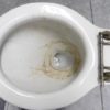 toilet top toilet top