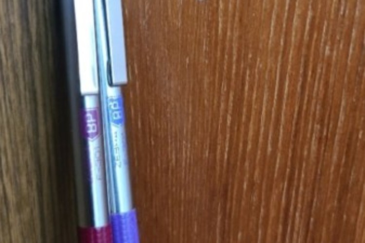 Pen Zebra Purple and Red no ink Pen Zebra Purple and Red no ink