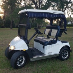 2015 EZ-GO RXV Freedom electric golf cart