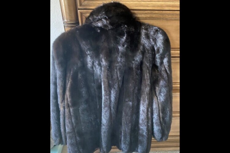 back of coat