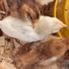 IMG_5604 IMG_5604