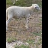 IMG_5496 IMG_5496