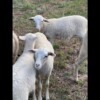 IMG_5492 IMG_5492