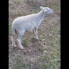 IMG_5495 IMG_5495
