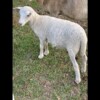 IMG_5494 IMG_5494