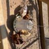IMG_5833 IMG_5833