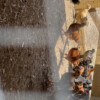 IMG_5824 IMG_5824