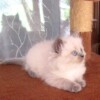 RIMG_2703 RIMG_2703