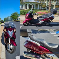 Silverwing 1