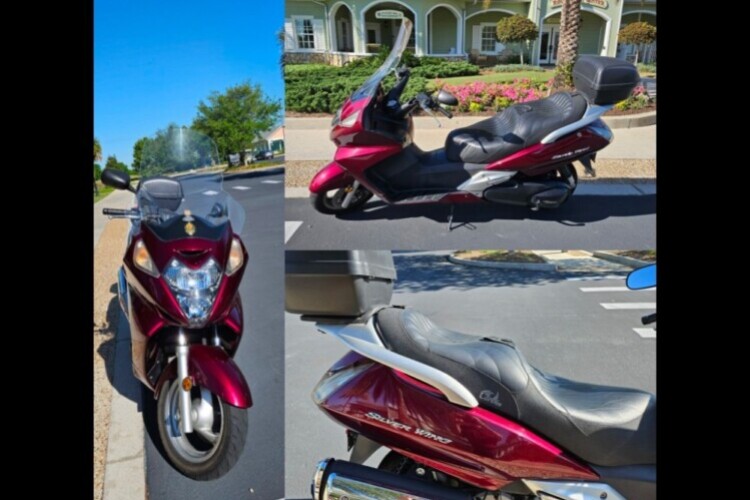 Silverwing 1 Silverwing 1