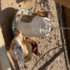 IMG_5830 IMG_5830