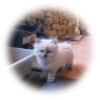 R IMG_2803 R IMG_2803