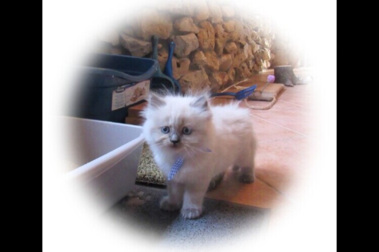 R IMG_2803 R IMG_2803