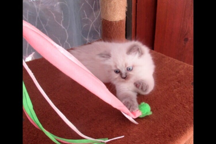 RIMG_2747 RIMG_2747