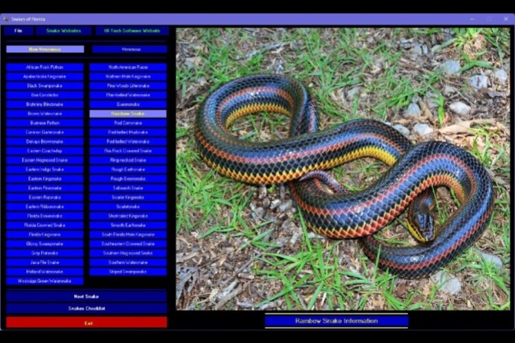 Snakes of Florida 3 Snakes of Florida 3