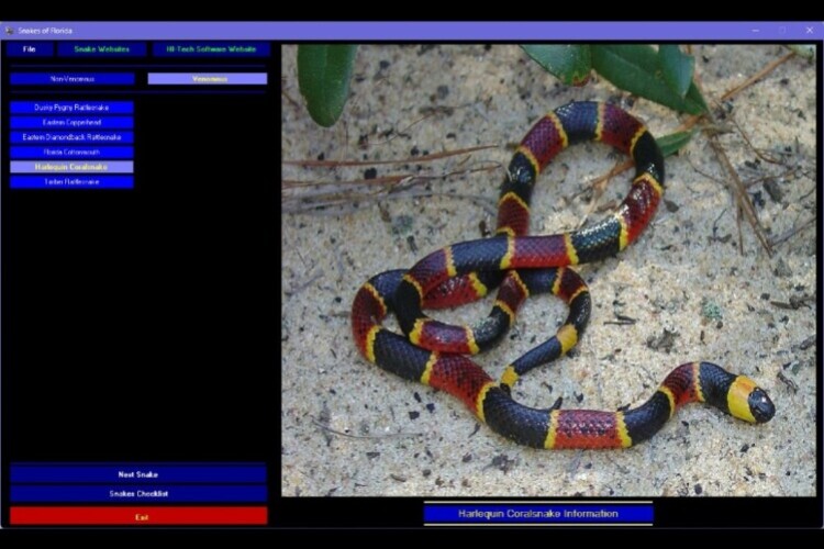 Snakes of Florida 2 Snakes of Florida 2