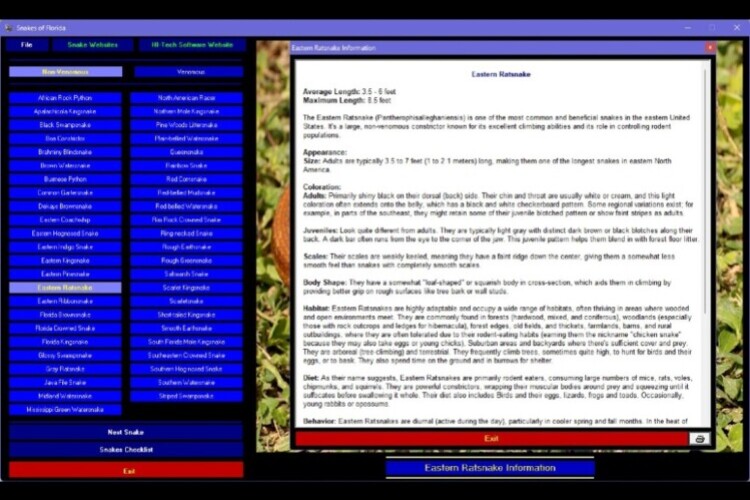 Snakes of Florida 5 Snakes of Florida 5