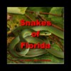Florida Fresh Water Sport Fish 1 Florida Fresh Water Sport Fish 1